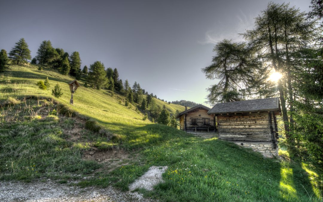 Architettura rigenerativa in Val di Fiemme: costruire edifici che migliorano l’ambiente